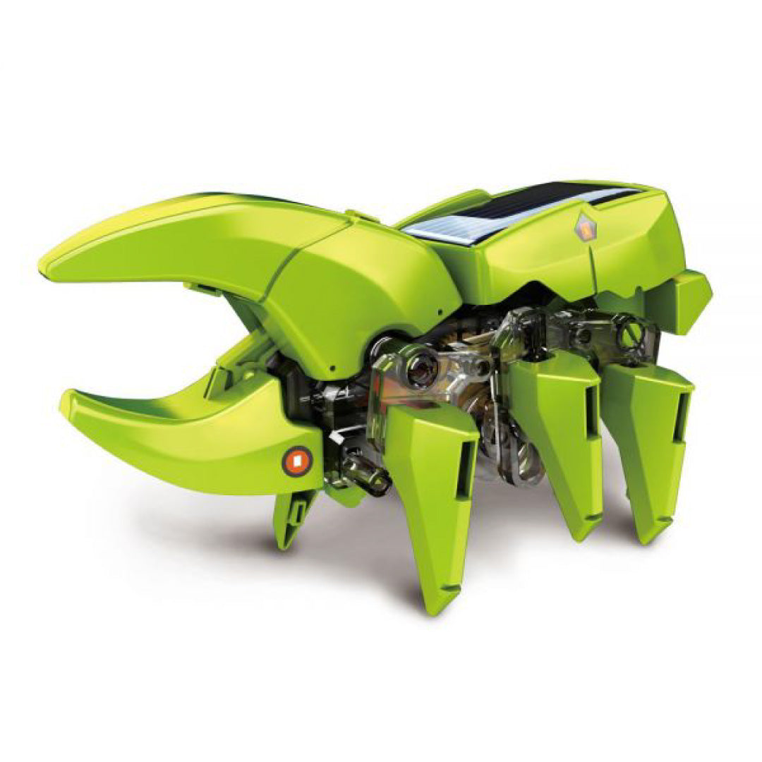 Spanish Immersion Robotics Class Level 2